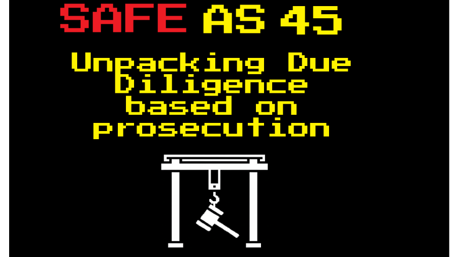 Safe As 45: Unpacking Officer Due Diligence based on a Maritime NZ&nbsp;prosecution